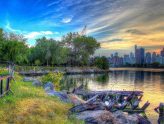 Protecting the Park, Preserving the Shoreline