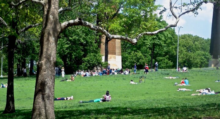 Astoria Park Beautification Day (March 21st)
