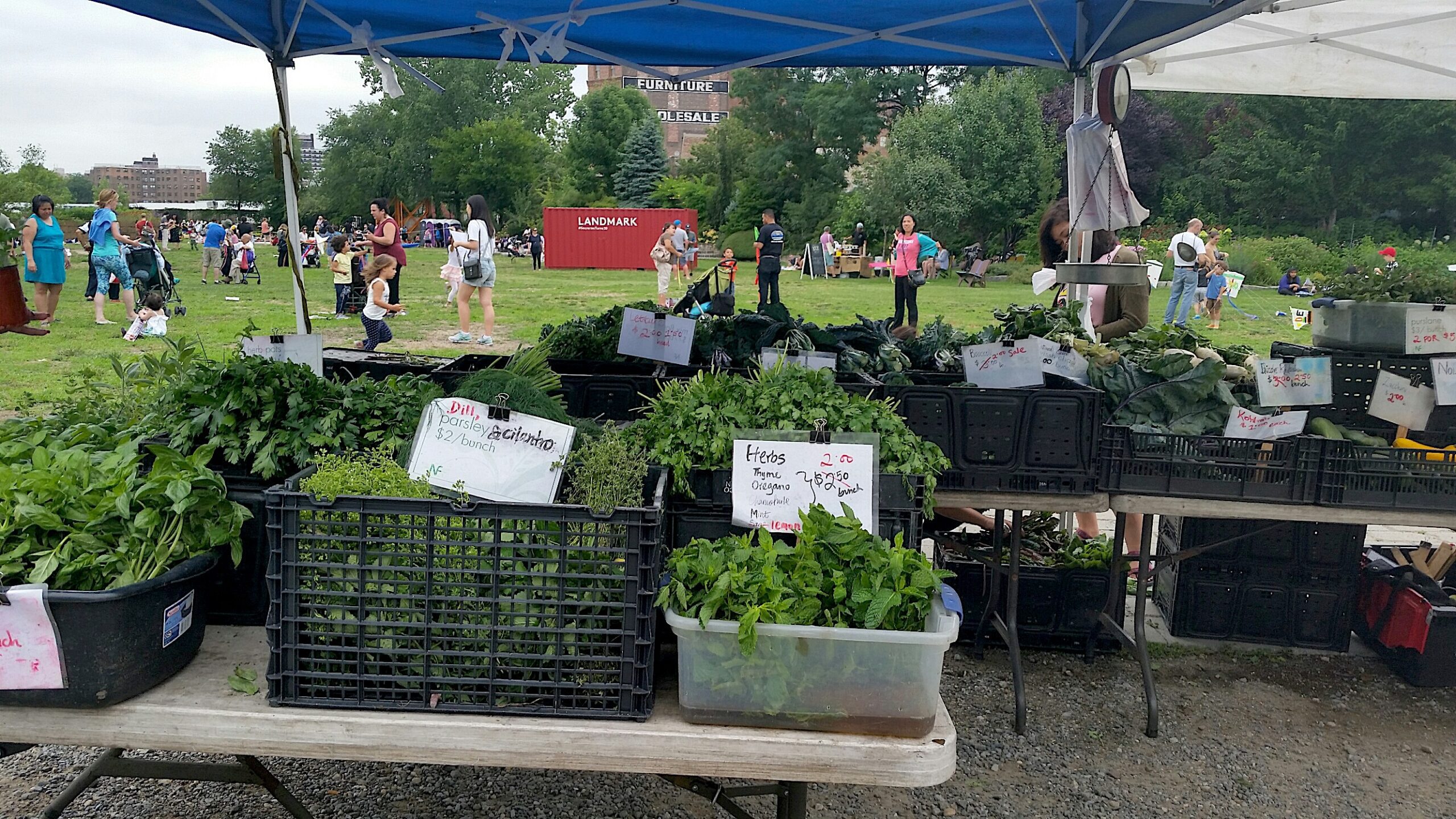 Astoria Greenmarket Will Not Return This Summer