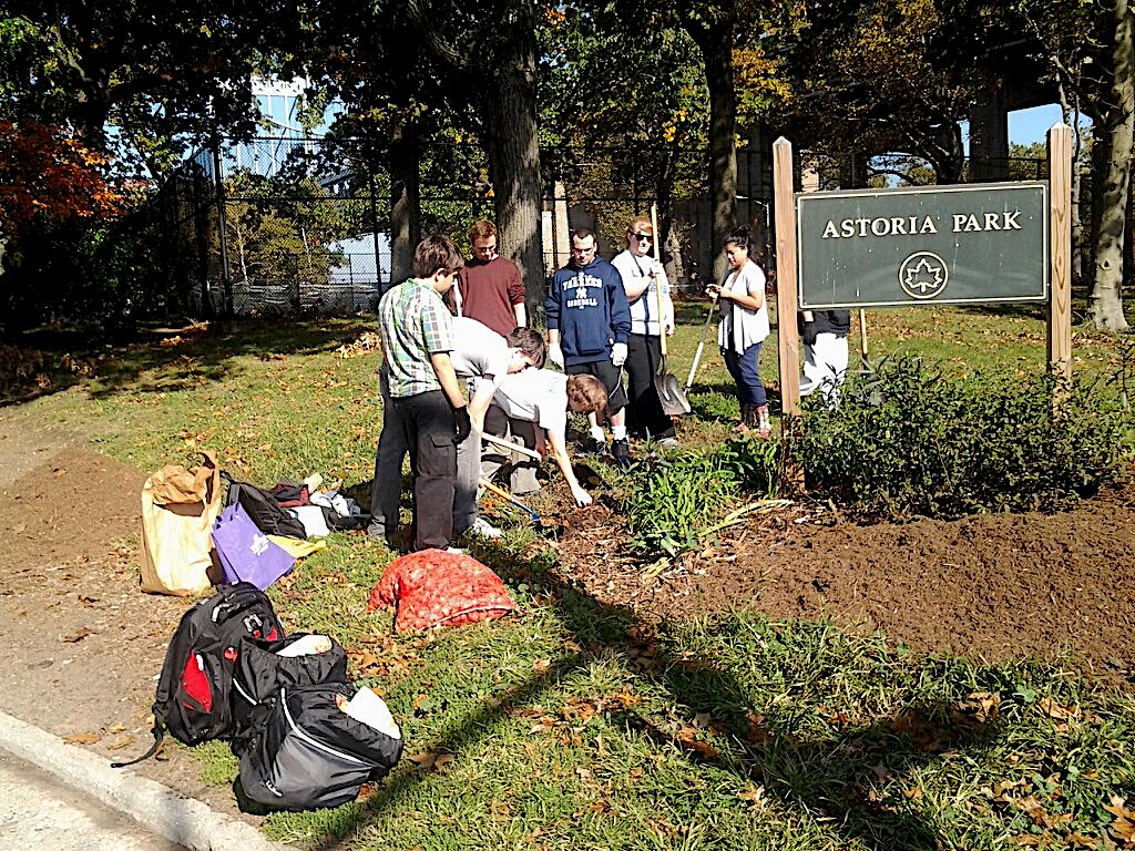 Register to Get Daffodil Bulbs, Starting August 14