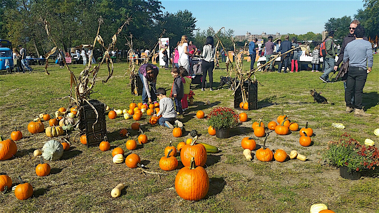 QUEENS FOOD DAY RETURNS