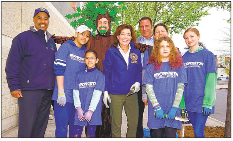 qns_times_ledger_tree_planting