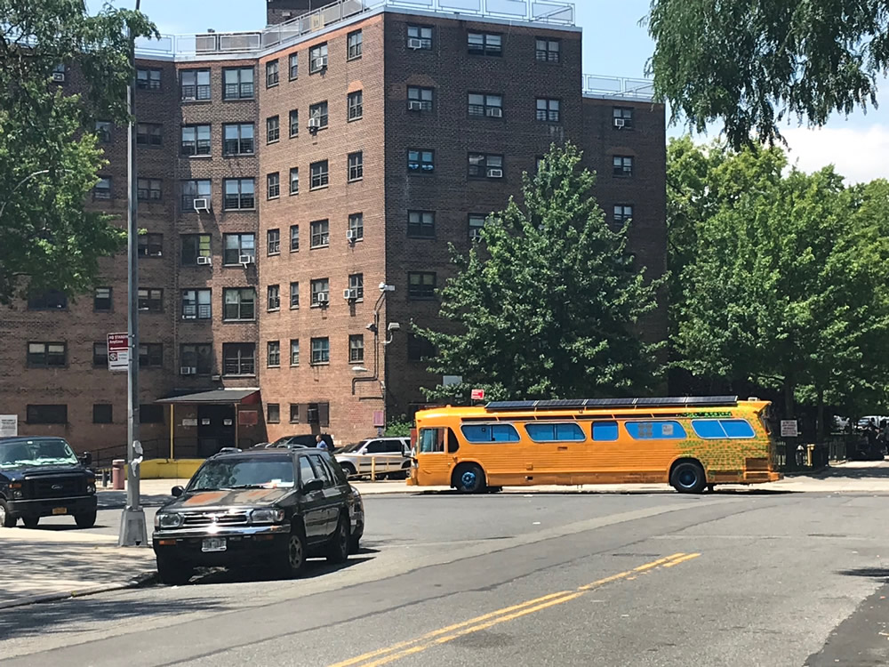 The BioBus Comes to Hallets Cove