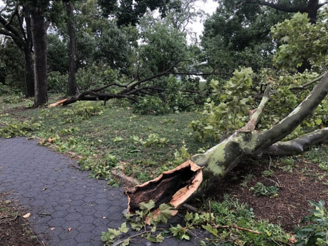 Astoria Park damage