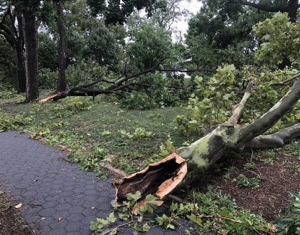 Astoria Park damage