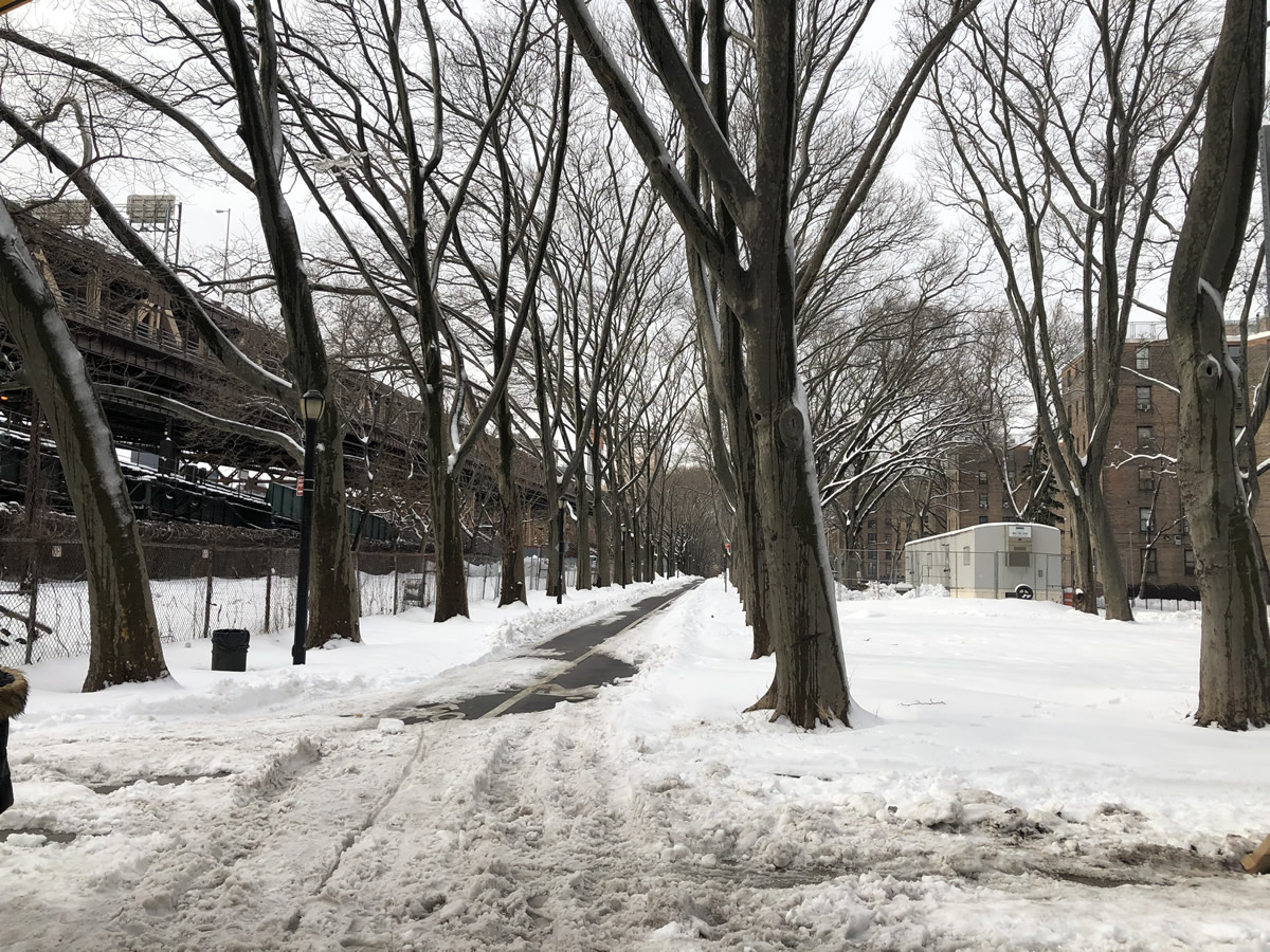 Baby Queensbridge Park Visioning