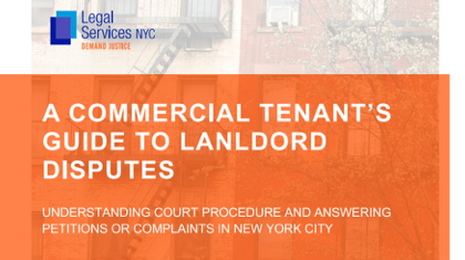 A COMMERCIAL TENANT’S GUIDE TO LANDLORD DISPUTES