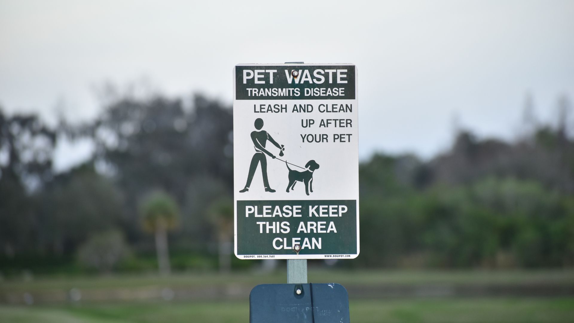 Advocating For a Dog Run in Whitey Ford Field, Plus Neighborhood Dog Waste Stations