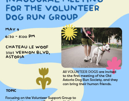 Inaugural Meeting for the Volunteer Dog Run Group