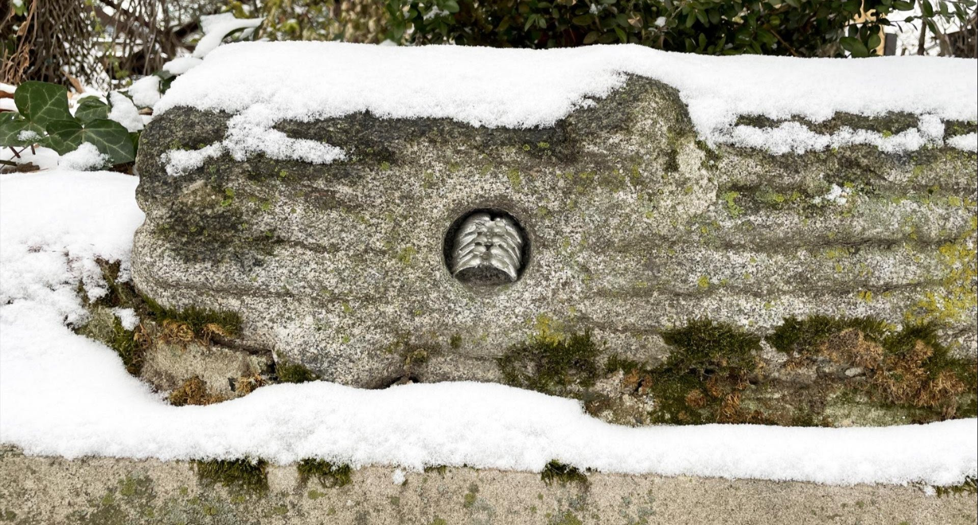 Socrates Sculpture Park March Newsletter