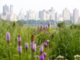 Spring Programming at Socrates Sculpture Park and 40th Anniversary Gala