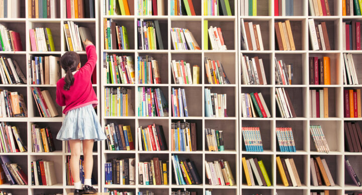 Projekt NYC Summer Literacy & Volunteer Program for Queens Students