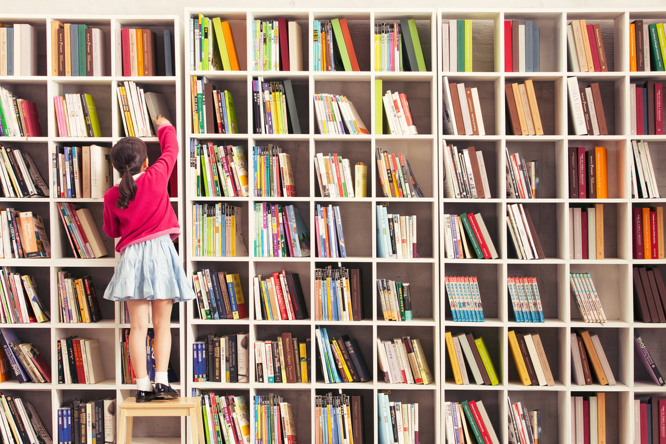 Projekt NYC Summer Literacy & Volunteer Program for Queens Students