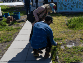 Volunteer at Register Sky Farm LIC