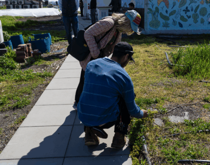 Volunteer at Register Sky Farm LIC