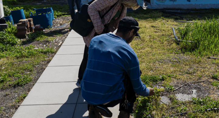 Volunteer at Register Sky Farm LIC