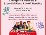 SNAP, Medicaid and Property Tax Assistance with Senator Gonzalez’s Office