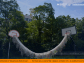 Socrates Sculpture Park Launches New Website and Digital Archive