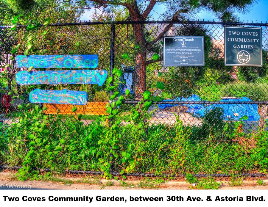 Two Coves Community Garden, 30 ave and Astoria Blvd, Astoria NY